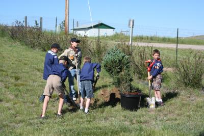 Cub Scouts planting trees